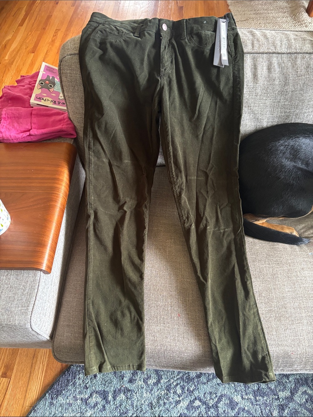 SOLD Design Lab Olive Green Corduroy Pants
